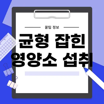 균형 잡힌 영양소 섭취