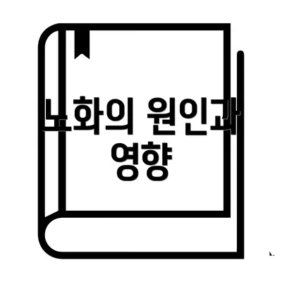 노화의 원인과 영향