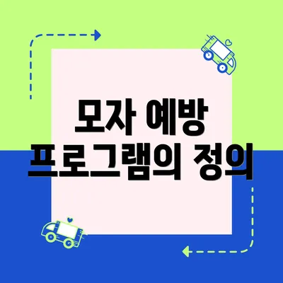 모자 예방 프로그램의 정의