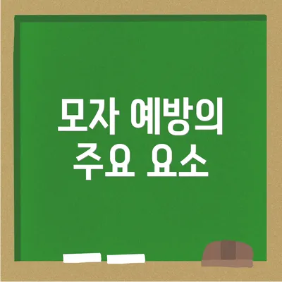 모자 예방의 주요 요소