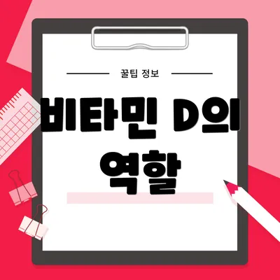 비타민 D의 역할