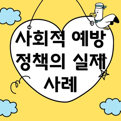 사회적 예방 정책의 실제 사례