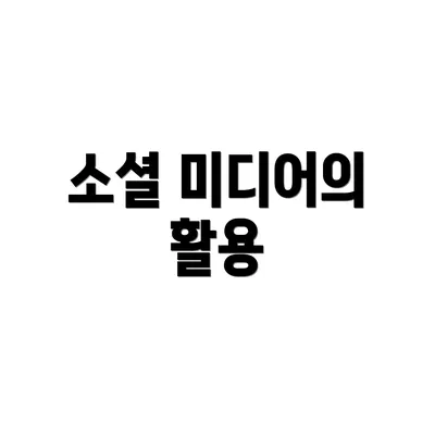 소셜 미디어의 활용