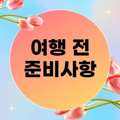 여행 전 준비사항