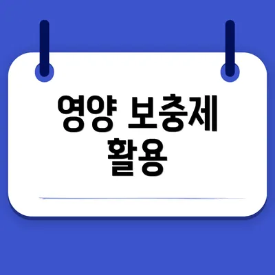 영양 보충제 활용