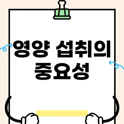 영양 섭취의 중요성