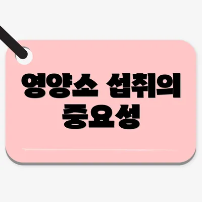 영양소 섭취의 중요성