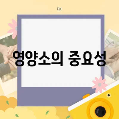 영양소의 중요성