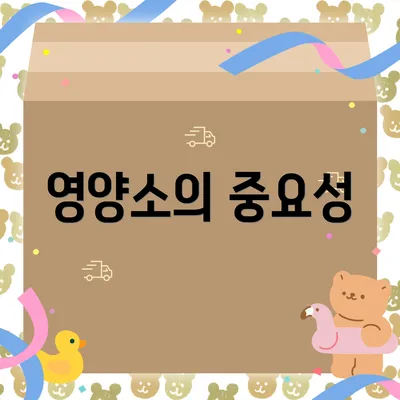 영양소의 중요성