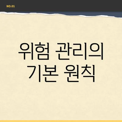 위험 관리의 기본 원칙