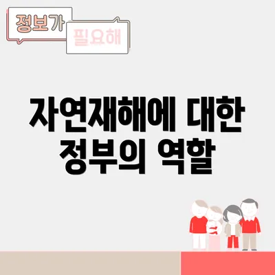 자연재해에 대한 정부의 역할