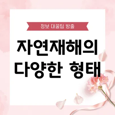 자연재해의 다양한 형태