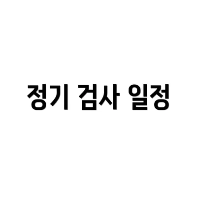 정기 검사 일정