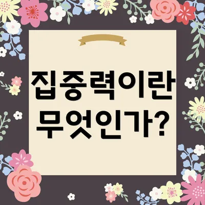집중력이란 무엇인가?