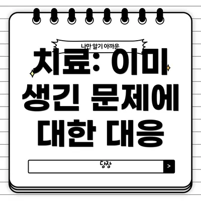 치료: 이미 생긴 문제에 대한 대응