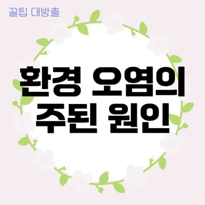 환경 오염의 주된 원인