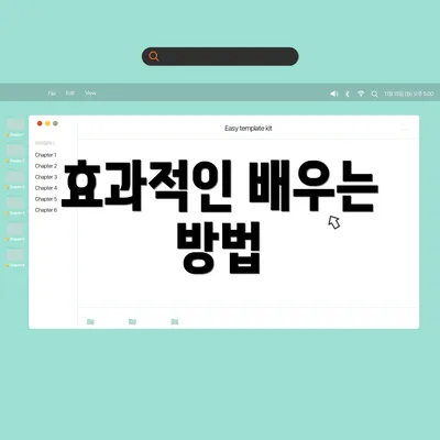 효과적인 배우는 방법
