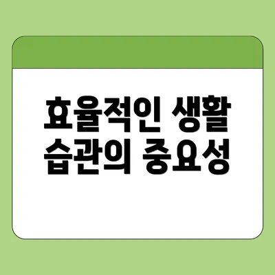 효율적인 생활 습관의 중요성