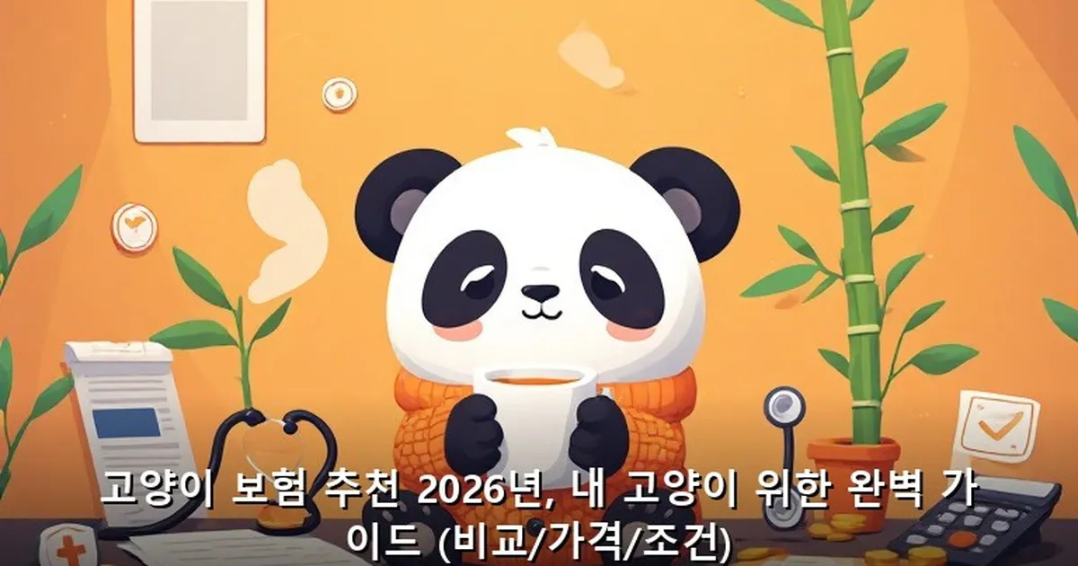 고양이 보험 추천 - acksdid.kr 캐릭터