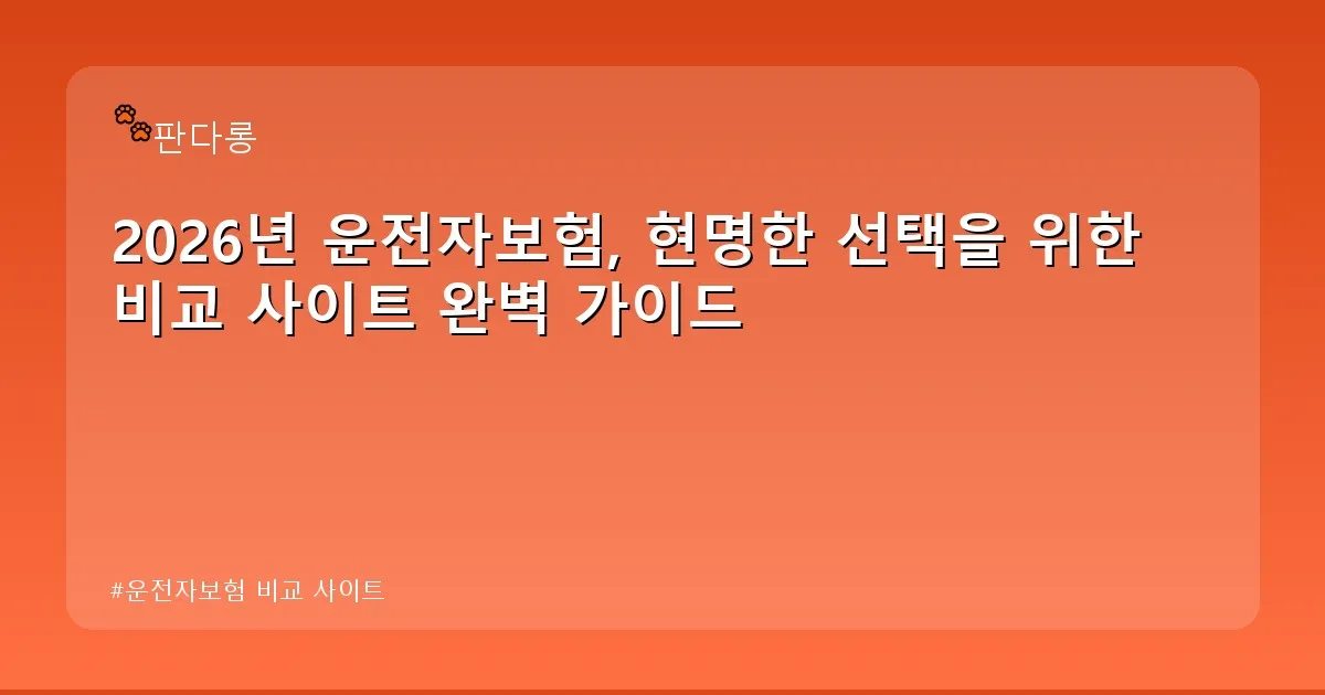운전자보험 비교 사이트 - acksdid.kr 캐릭터